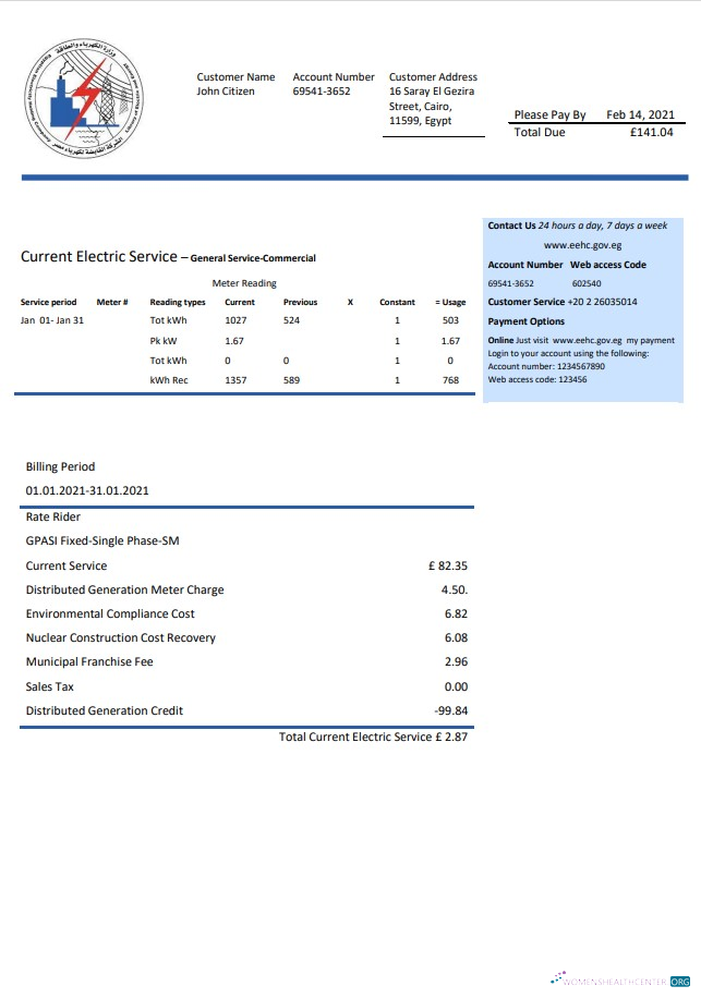 download download Egypt Egyptian Electricity utility bill template in Word and PDF format PDF template PDF template